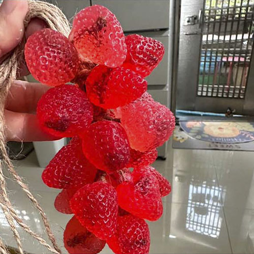 Foto compartilhada no comentário de Aline D.